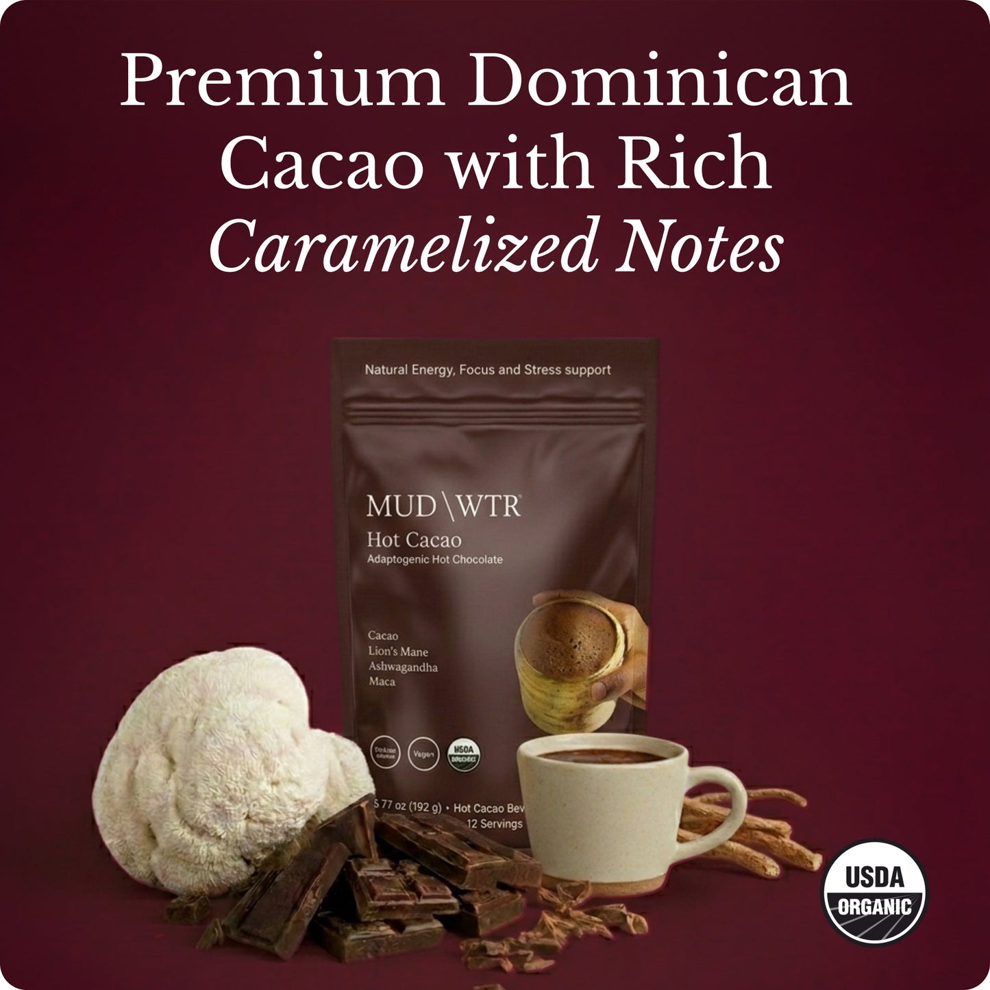 hot-chocolate-u6 Hot_Chocolate_Image_01.jpg