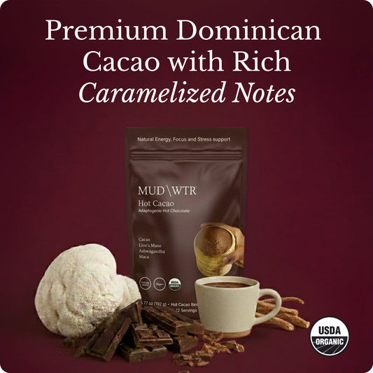 hot-chocolate-u6 Hot_Chocolate_Image_01.jpg