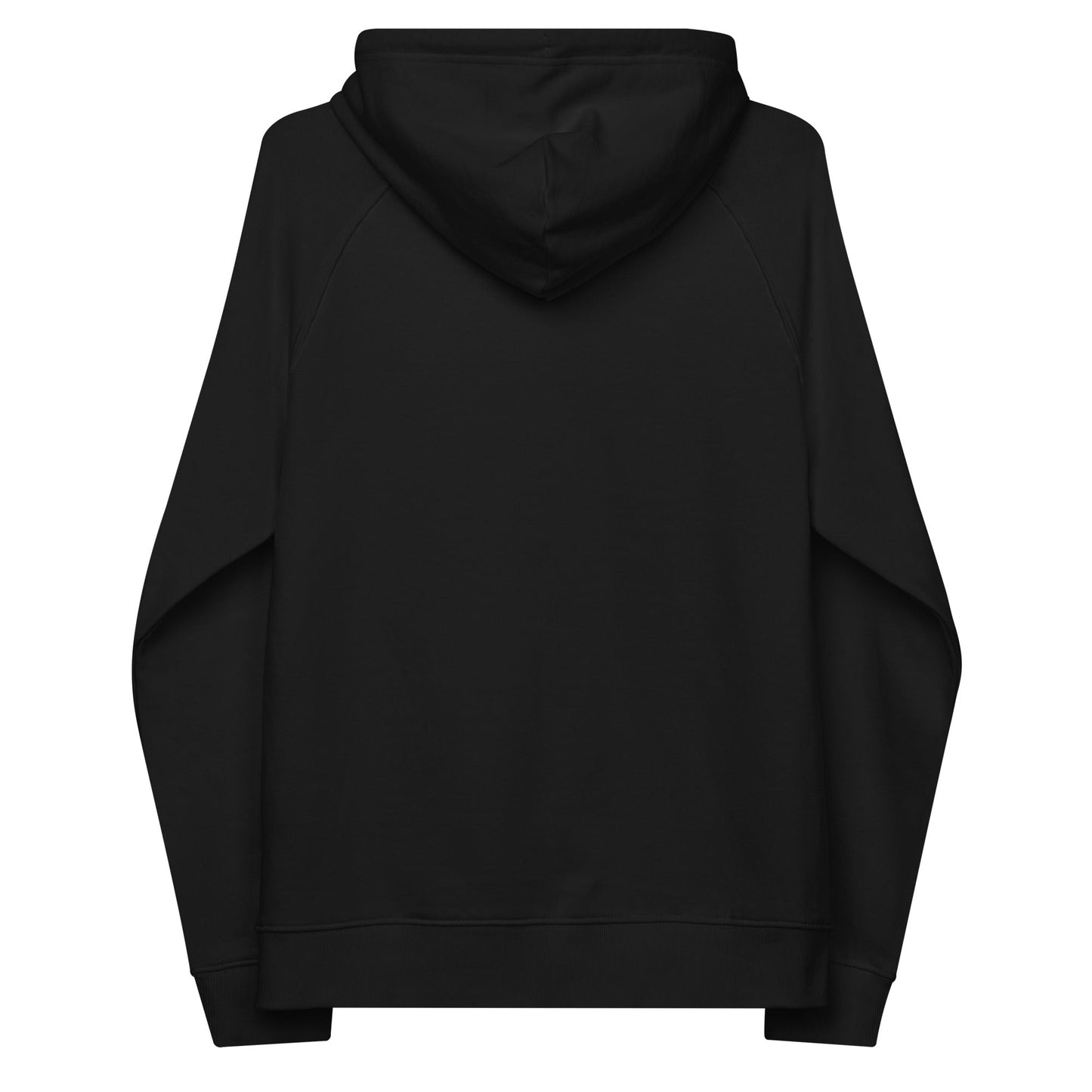 unlearn-relearn-hoodie-t8 unisex-eco-raglan-hoodie-black-back-647547b169f25.jpg