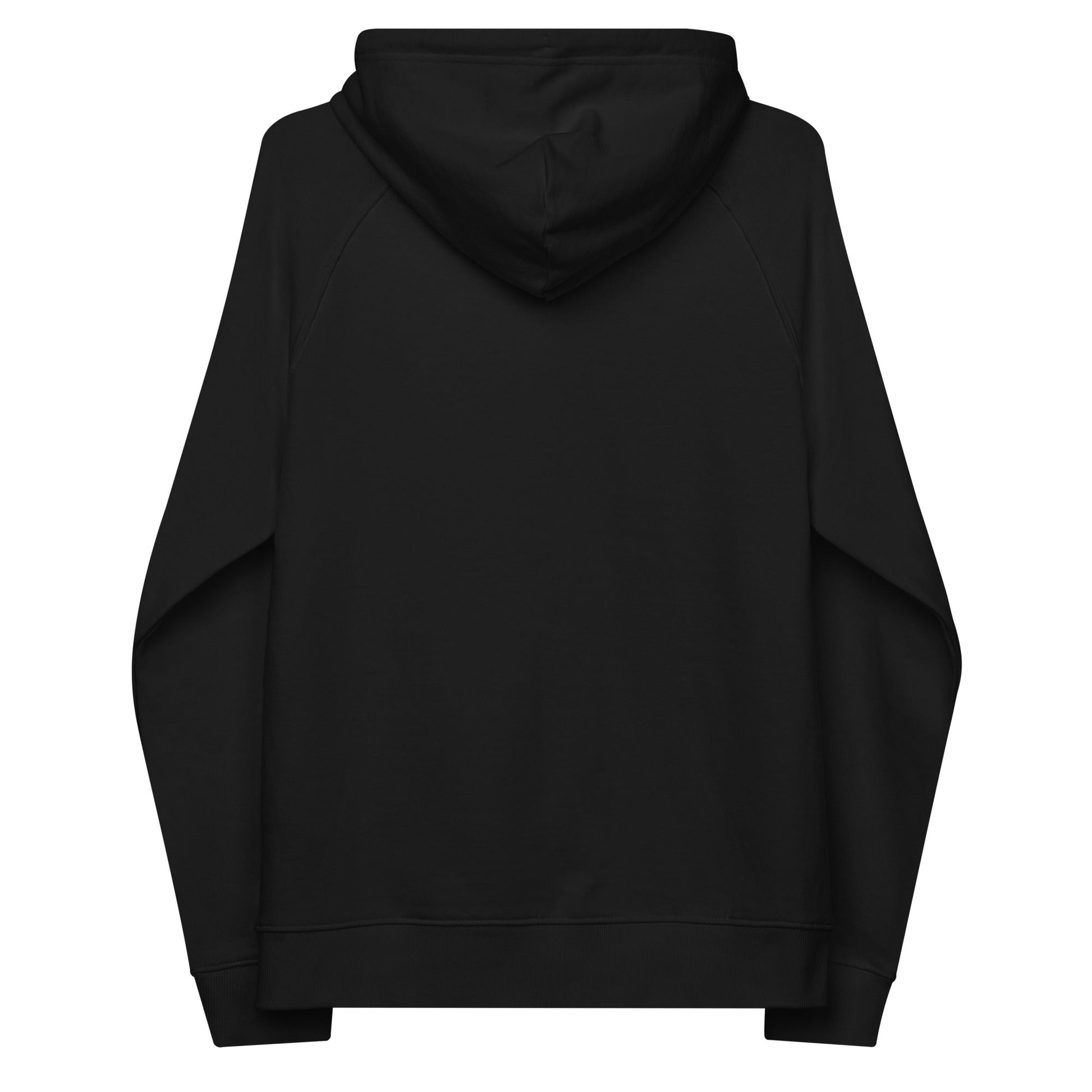 unlearn-relearn-hoodie-t8 unisex-eco-raglan-hoodie-black-back-647547b169f25.jpg
